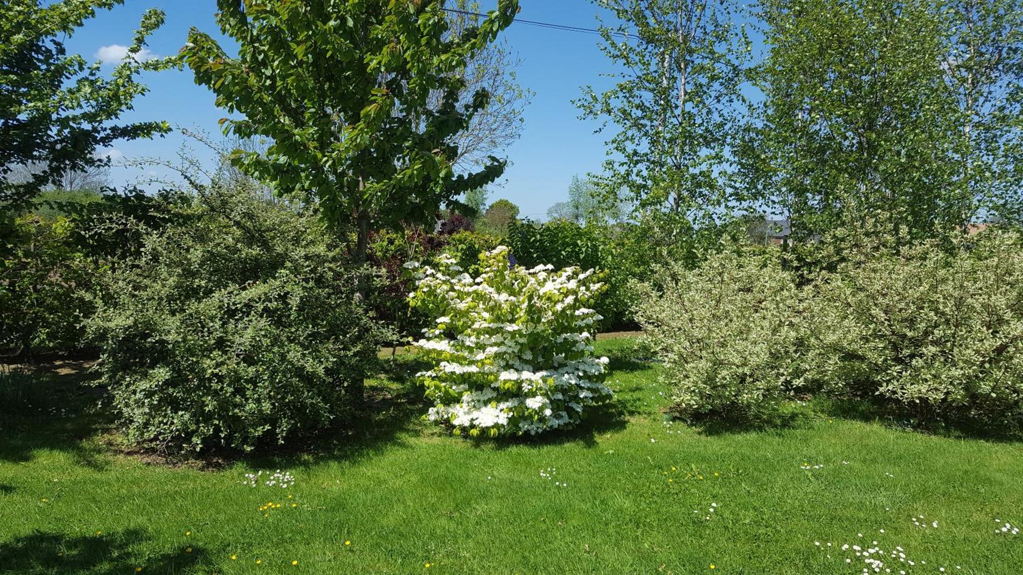 Gite D'Anne Et Ulysse Sept-Freres Exteriér fotografie