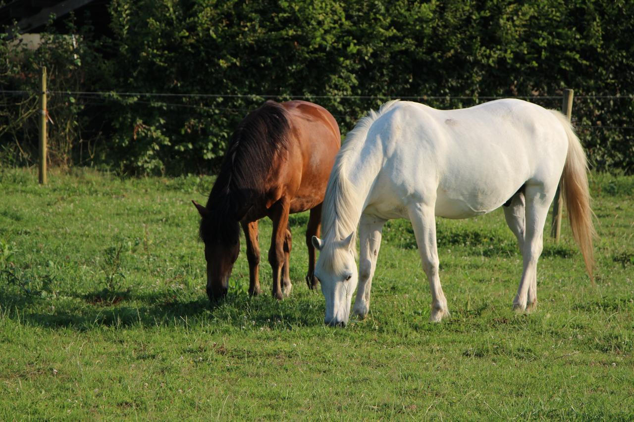 Gite D'Anne Et Ulysse Sept-Freres Exteriér fotografie
